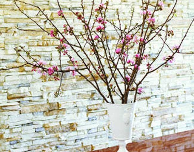 bloombranches-vase-m