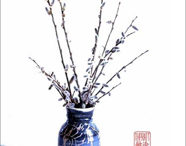 pussy_willows_in_a_vase_8_x_10_72