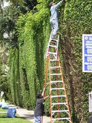 Ladder_on_Ladder