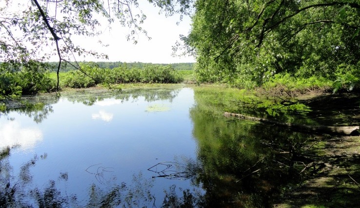 sudburyRiver1